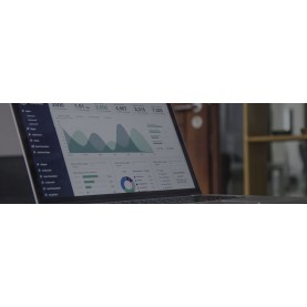 Suivi SEO en ligne
